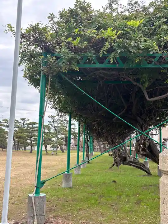 阿閇神社(兵庫県)
