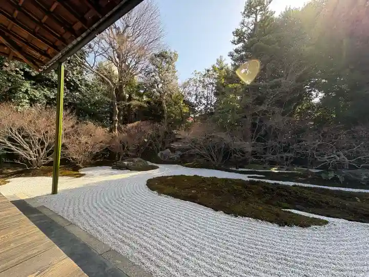 西来院の{uncategorized: "未分類", other: "その他", undefined: "問題あり", building: "その他建物", grave: "お墓", sacred_gate: "鳥居", guardian: "狛犬", statue: "像", buddha: "仏像", history: "歴史", nature: "自然", garden: "庭園", animal: "動物", pagoda: "塔", temizu: "手水舎", mountain_gate: "山門・神門", sanctuary: "本殿・本堂", subordinate: "末社・摂社", art: "芸術", scenery: "景色", jizo: "地蔵", ema: "絵馬", goshuin: "御朱印", omikuji: "おみくじ", items: "授与品その他", amulet: "お守り", goshuincho: "御朱印帳", eats: "食事", festival: "お祭り", votive_dance: "神楽", shichigosan: "七五三参", wedding: "結婚式", experience: "体験その他", initially: "初詣", around: "周辺", anti_infection: "感染症対策"}
