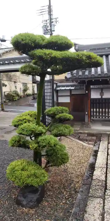 專稱寺(専称寺)の自然