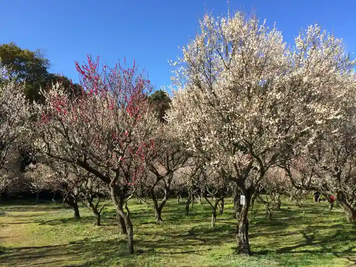 綱敷天満宮(福岡県)