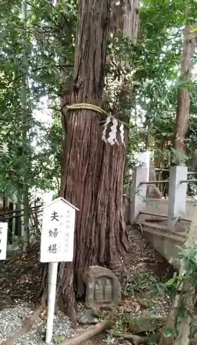 座間神社の自然