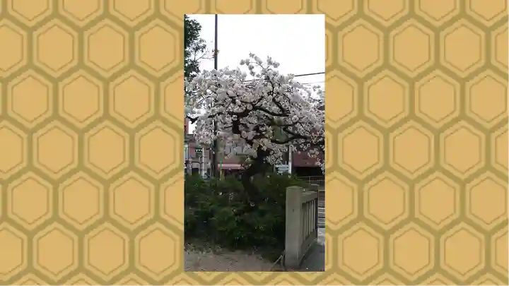 尾久八幡神社(東京都)