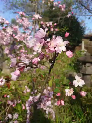 常泉寺(神奈川県)