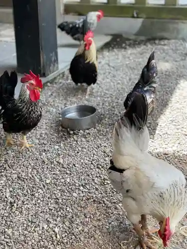 大崎八幡宮(宮城県)