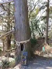 阿久津「田村神社」（郡山市阿久津町）旧社名：伊豆箱根三嶋三社(福島県)