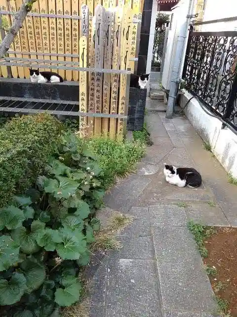 功徳院 東京別院の庭園