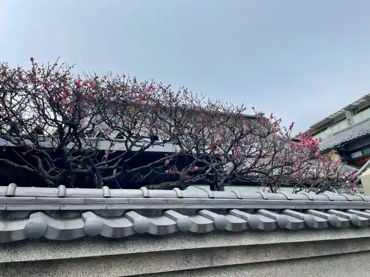 天竜院の{uncategorized: "未分類", other: "その他", undefined: "問題あり", building: "その他建物", grave: "お墓", sacred_gate: "鳥居", guardian: "狛犬", statue: "像", buddha: "仏像", history: "歴史", nature: "自然", garden: "庭園", animal: "動物", pagoda: "塔", temizu: "手水舎", mountain_gate: "山門・神門", sanctuary: "本殿・本堂", subordinate: "末社・摂社", art: "芸術", scenery: "景色", jizo: "地蔵", ema: "絵馬", goshuin: "御朱印", omikuji: "おみくじ", items: "授与品その他", amulet: "お守り", goshuincho: "御朱印帳", eats: "食事", festival: "お祭り", votive_dance: "神楽", shichigosan: "七五三参", wedding: "結婚式", experience: "体験その他", initially: "初詣", around: "周辺", anti_infection: "感染症対策"}