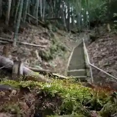 高司神社〜むすびの神の鎮まる社〜の自然