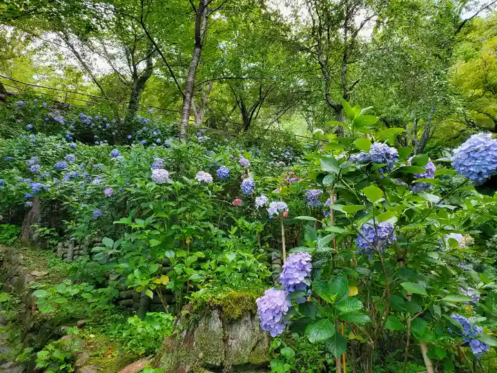 長谷寺(奈良県)