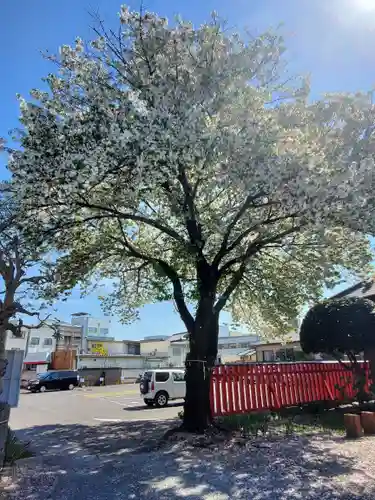 雷電神社(群馬県)