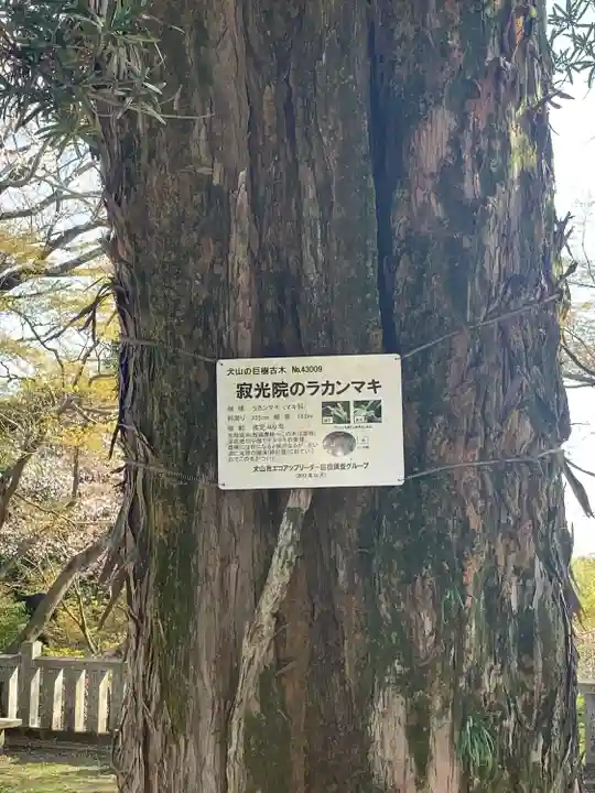 犬山寂光院の自然