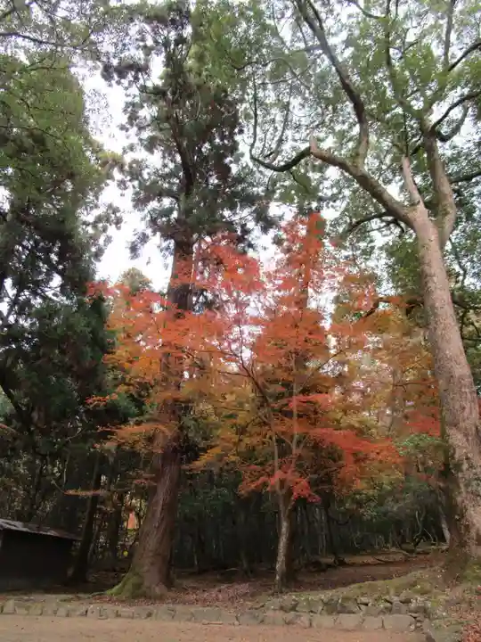 春日大社(奈良県)