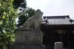 八坂大神の狛犬