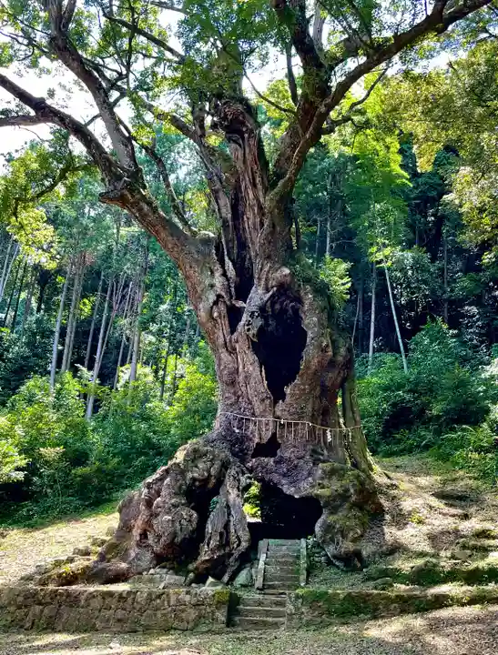 武雄神社(佐賀県)