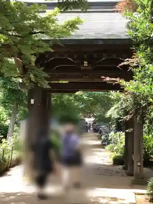 本土寺の山門・神門