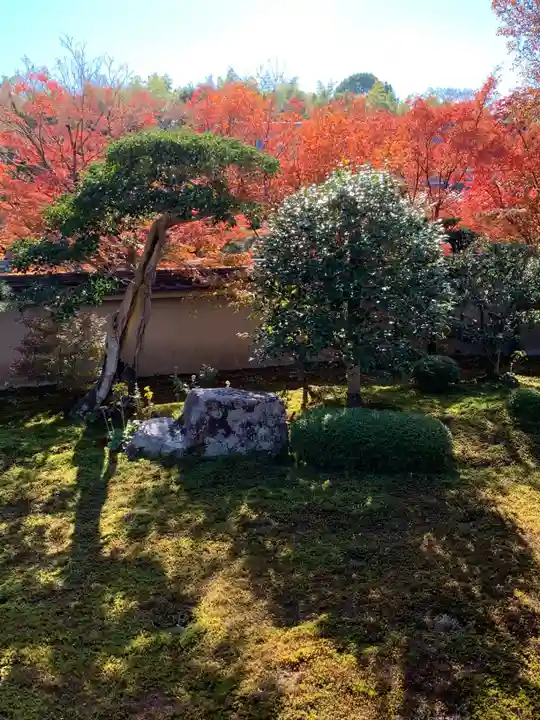 東福禅寺(東福寺)(京都府)