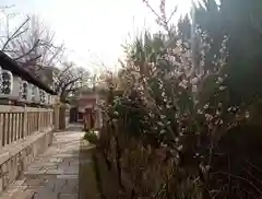 阿部野神社(大阪府)