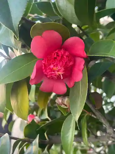 泉州磐船神社(大阪府)