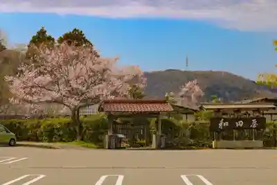 白山比咩神社の周辺
