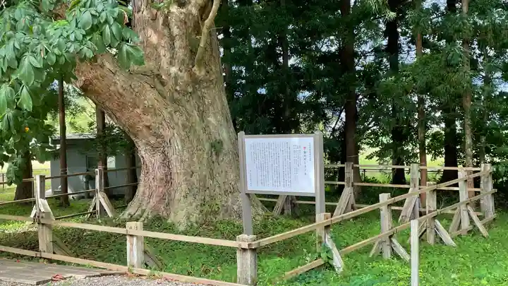 光清寺(山形県)