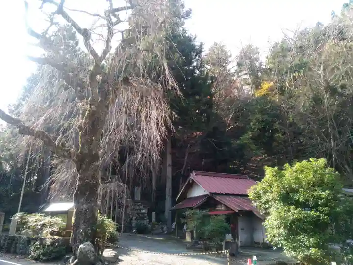 朝日之祖師堂の本殿・本堂
