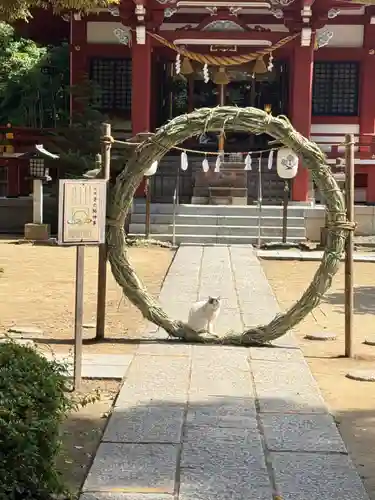 柏諏訪神社(千葉県)