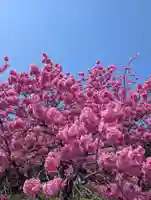 本牧神社(神奈川県)