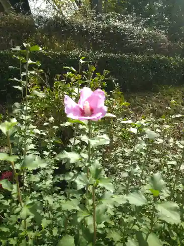 木華佐久耶比咩神社の自然