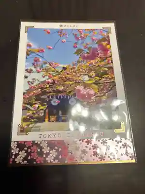 東京大神宮(東京都)