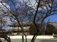 鎮國寺(福岡県)