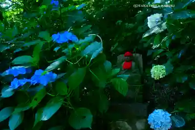 高幡不動尊　金剛寺(東京都)