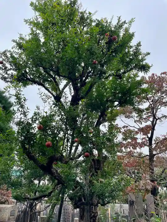 長安寺(東京都)