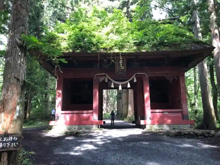 戸隠神社奥社(長野県)