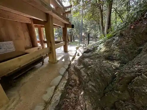 出雲大社(島根県)