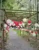 柳津虚空蔵尊 寳性院(宮城県)