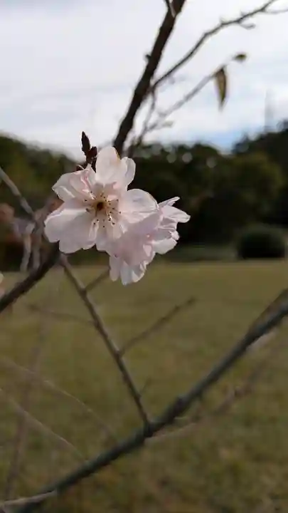 勧修寺(京都府)