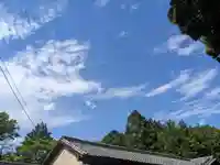 八幡社(柏井町)の自然