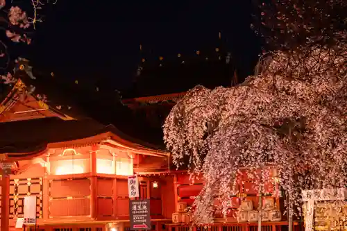 富士山本宮浅間大社(静岡県)