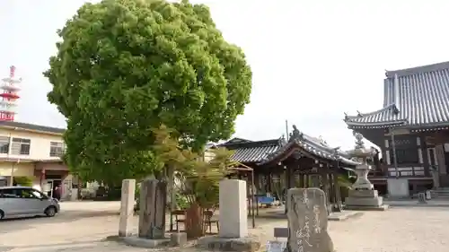 南光坊(愛媛県)