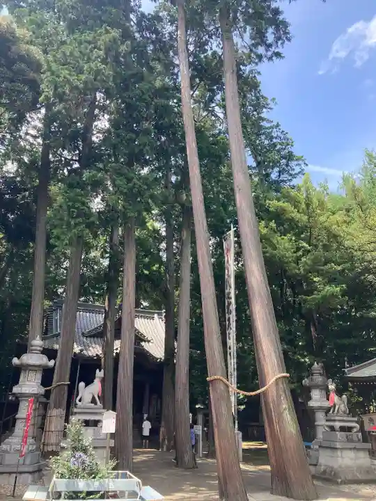 豊川閣 妙厳寺(愛知県)
