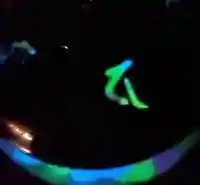 玉眞院玉川大師(東京都)