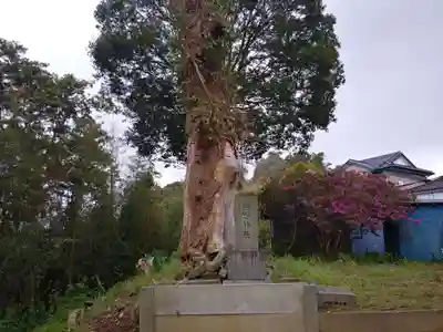 熊野神社の自然