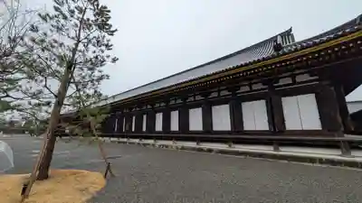 蓮華王院（三十三間堂）(京都府)