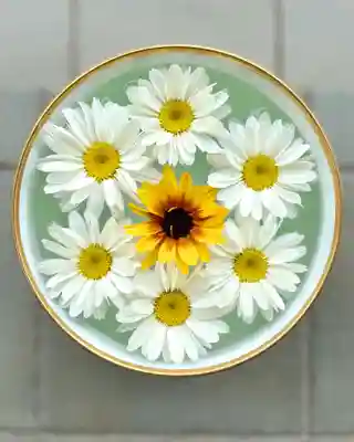 伊達神社の手水舎