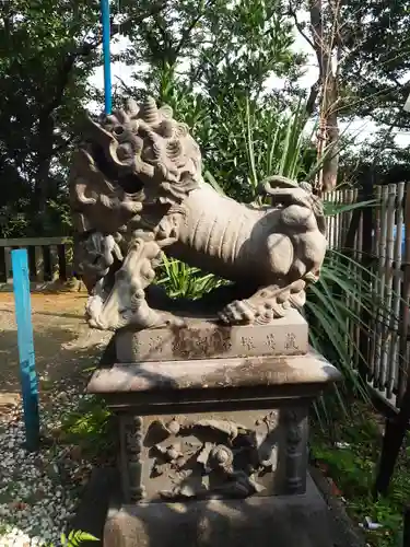 児玉神社の狛犬