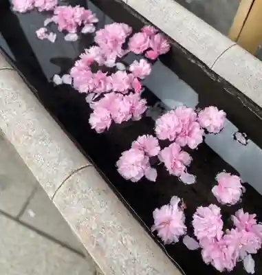 養願寺(東京都)