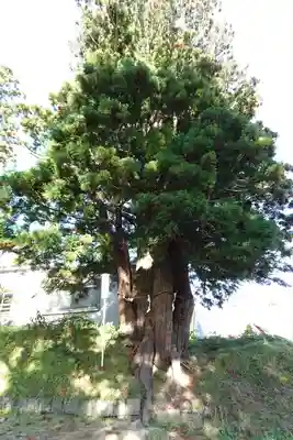 岩木山神社(青森県)