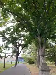 厚別神社の鳥居