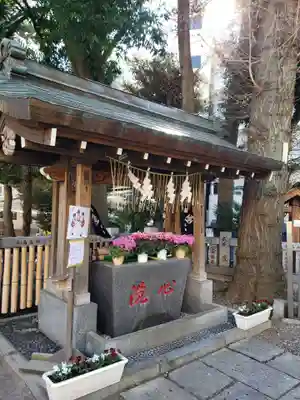 高円寺氷川神社の手水舎