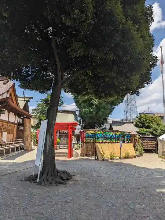 相模原氷川神社(神奈川県)